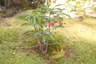 赤山禅院(京都府)