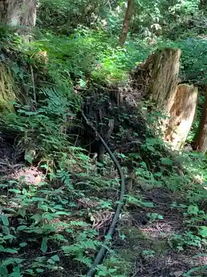 熊野神社の周辺