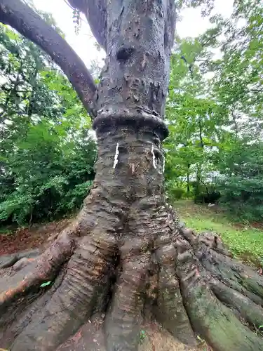 愛宕神社(福島県)