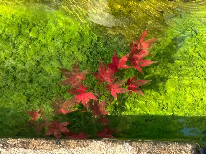 国宝 大法寺(長野県)