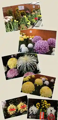 高幡不動尊　金剛寺の自然