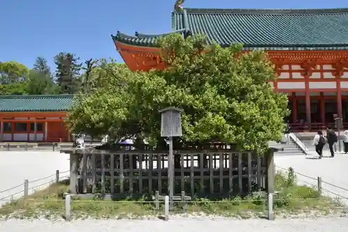 平安神宮の自然