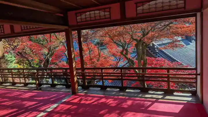 柳谷観音 楊谷寺(京都府)