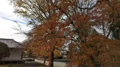 醍醐寺(京都府)