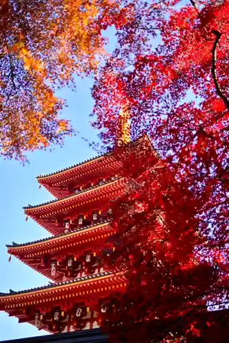 高幡不動尊　金剛寺(東京都)