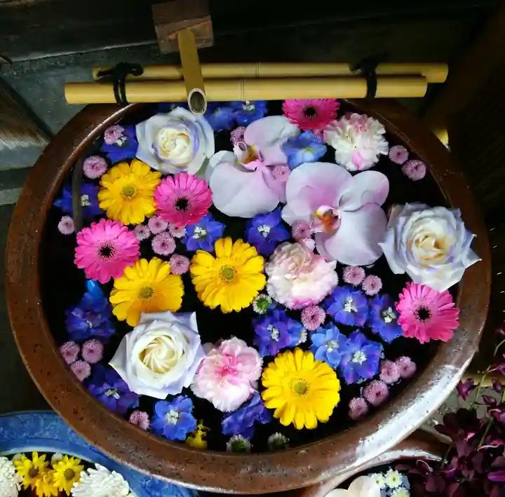 多賀神社の手水舎