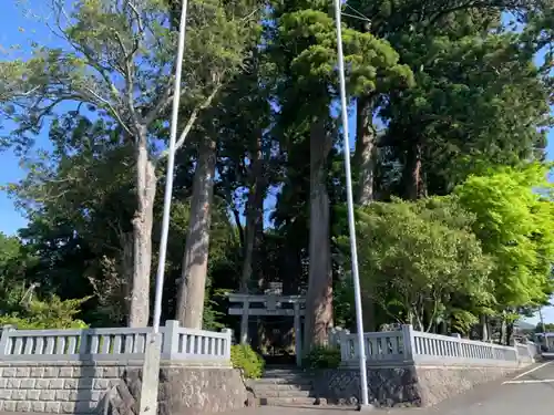 浅間神社の鳥居