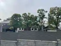 全勝寺の{uncategorized: "未分類", other: "その他", undefined: "問題あり", building: "その他建物", grave: "お墓", sacred_gate: "鳥居", guardian: "狛犬", statue: "像", buddha: "仏像", history: "歴史", nature: "自然", garden: "庭園", animal: "動物", pagoda: "塔", temizu: "手水舎", mountain_gate: "山門・神門", sanctuary: "本殿・本堂", subordinate: "末社・摂社", art: "芸術", scenery: "景色", jizo: "地蔵", ema: "絵馬", goshuin: "御朱印", omikuji: "おみくじ", items: "授与品その他", amulet: "お守り", goshuincho: "御朱印帳", eats: "食事", festival: "お祭り", votive_dance: "神楽", shichigosan: "七五三参", wedding: "結婚式", experience: "体験その他", initially: "初詣", around: "周辺", anti_infection: "感染症対策"}