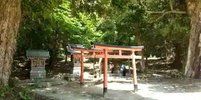 白鬚神社の鳥居