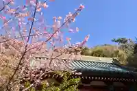 洲崎神社(千葉県)