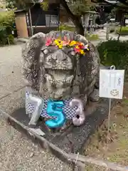 京都乃木神社の狛犬