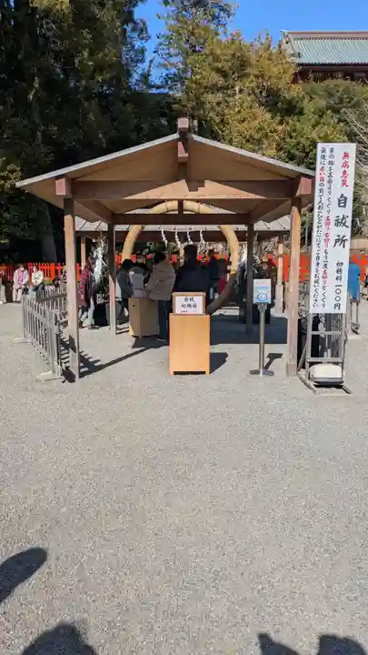 鶴岡八幡宮の体験その他