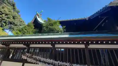 姫坂神社(愛媛県)