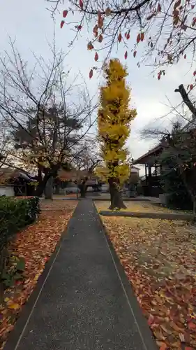 西宗寺(京都府)