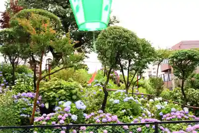 白山神社(東京都)
