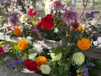 彌彦神社 (伊夜日子神社)の手水舎