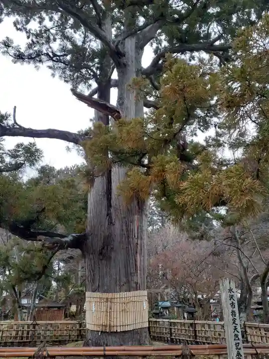 毘沙門堂(岩手県)