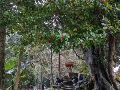 伊多波刀神社(愛知県)