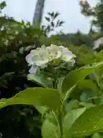 石内のお大師さん 金剛院(広島県)