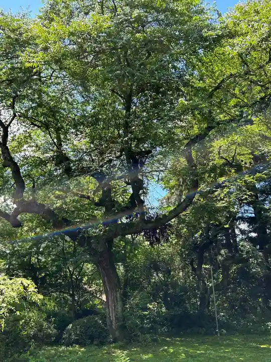 光丸山 法輪寺(栃木県)