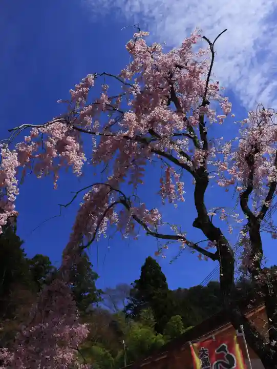 金櫻神社の{uncategorized: "未分類", other: "その他", undefined: "問題あり", building: "その他建物", grave: "お墓", sacred_gate: "鳥居", guardian: "狛犬", statue: "像", buddha: "仏像", history: "歴史", nature: "自然", garden: "庭園", animal: "動物", pagoda: "塔", temizu: "手水舎", mountain_gate: "山門・神門", sanctuary: "本殿・本堂", subordinate: "末社・摂社", art: "芸術", scenery: "景色", jizo: "地蔵", ema: "絵馬", goshuin: "御朱印", omikuji: "おみくじ", items: "授与品その他", amulet: "お守り", goshuincho: "御朱印帳", eats: "食事", festival: "お祭り", votive_dance: "神楽", shichigosan: "七五三参", wedding: "結婚式", experience: "体験その他", initially: "初詣", around: "周辺", anti_infection: "感染症対策"}