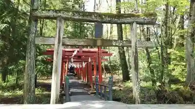 新屋山神社の鳥居