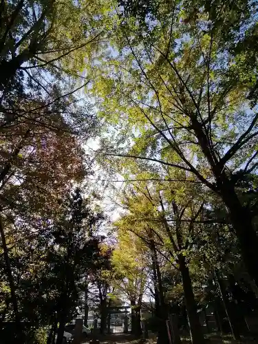 沓掛香取神社の自然