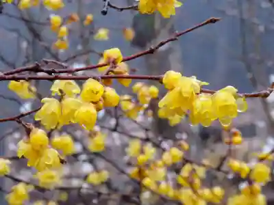 石稲荷神社(茨城県)