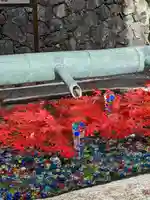 岡寺(龍蓋寺)(奈良県)