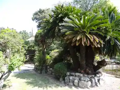 東観音寺(愛知県)