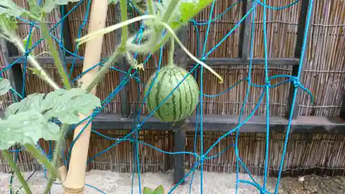 阿邪訶根神社の自然