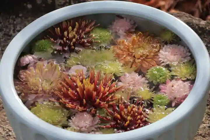 開成山大神宮の手水舎