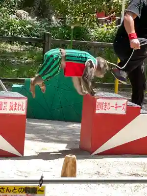 太宰府天満宮の{uncategorized: "未分類", other: "その他", undefined: "問題あり", building: "その他建物", grave: "お墓", sacred_gate: "鳥居", guardian: "狛犬", statue: "像", buddha: "仏像", history: "歴史", nature: "自然", garden: "庭園", animal: "動物", pagoda: "塔", temizu: "手水舎", mountain_gate: "山門・神門", sanctuary: "本殿・本堂", subordinate: "末社・摂社", art: "芸術", scenery: "景色", jizo: "地蔵", ema: "絵馬", goshuin: "御朱印", omikuji: "おみくじ", items: "授与品その他", amulet: "お守り", goshuincho: "御朱印帳", eats: "食事", festival: "お祭り", votive_dance: "神楽", shichigosan: "七五三参", wedding: "結婚式", experience: "体験その他", initially: "初詣", around: "周辺", anti_infection: "感染症対策"}