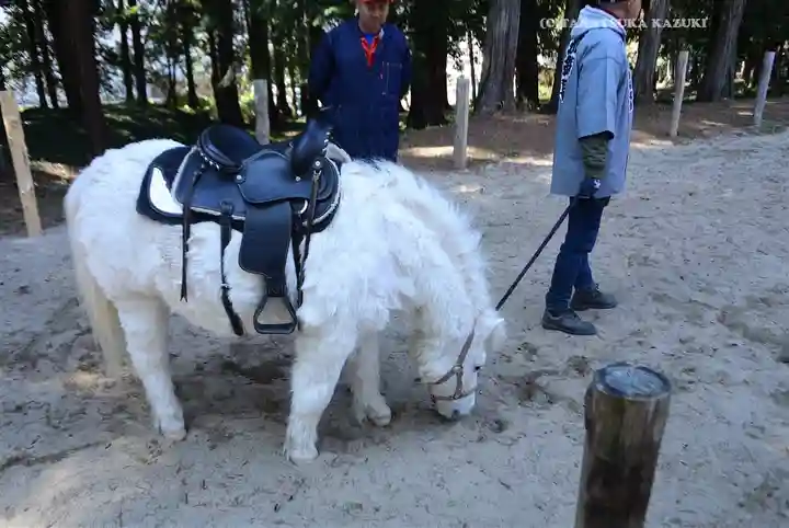 出雲伊波比神社(埼玉県)