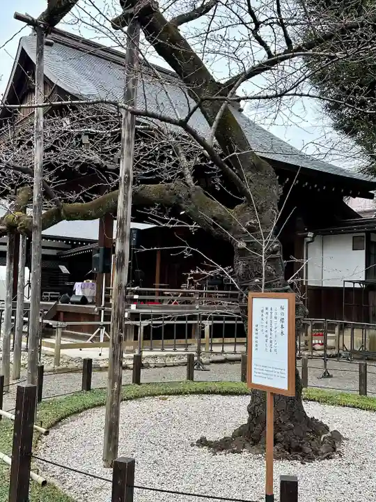 靖國神社(東京都)