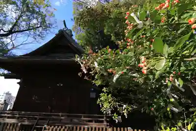 阿邪訶根神社の本殿・本堂