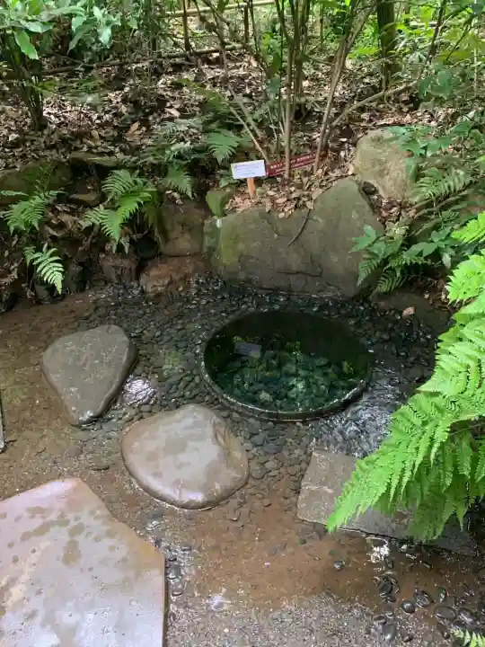 明治神宮(東京都)