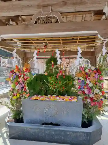 金蛇水神社の{uncategorized: "未分類", other: "その他", undefined: "問題あり", building: "その他建物", grave: "お墓", sacred_gate: "鳥居", guardian: "狛犬", statue: "像", buddha: "仏像", history: "歴史", nature: "自然", garden: "庭園", animal: "動物", pagoda: "塔", temizu: "手水舎", mountain_gate: "山門・神門", sanctuary: "本殿・本堂", subordinate: "末社・摂社", art: "芸術", scenery: "景色", jizo: "地蔵", ema: "絵馬", goshuin: "御朱印", omikuji: "おみくじ", items: "授与品その他", amulet: "お守り", goshuincho: "御朱印帳", eats: "食事", festival: "お祭り", votive_dance: "神楽", shichigosan: "七五三参", wedding: "結婚式", experience: "体験その他", initially: "初詣", around: "周辺", anti_infection: "感染症対策"}