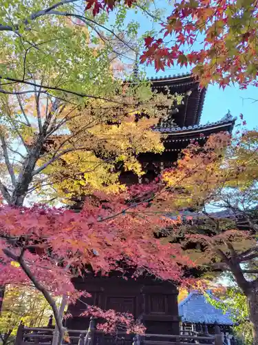 真正極楽寺（真如堂）(京都府)