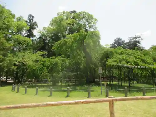 賀茂別雷神社（上賀茂神社）の庭園