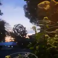 尾張大國霊神社(国府宮)(愛知県)