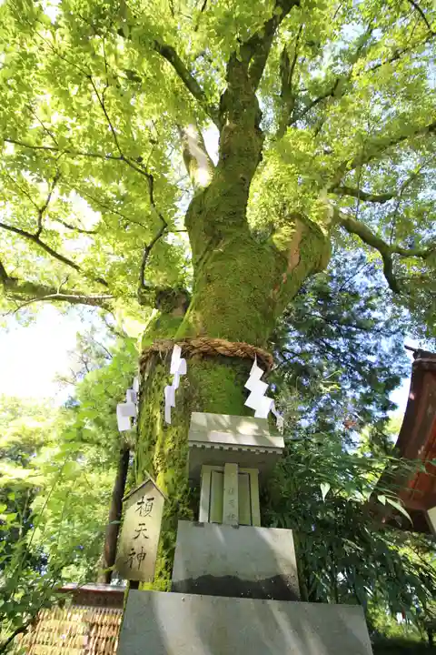 武田神社(山梨県)