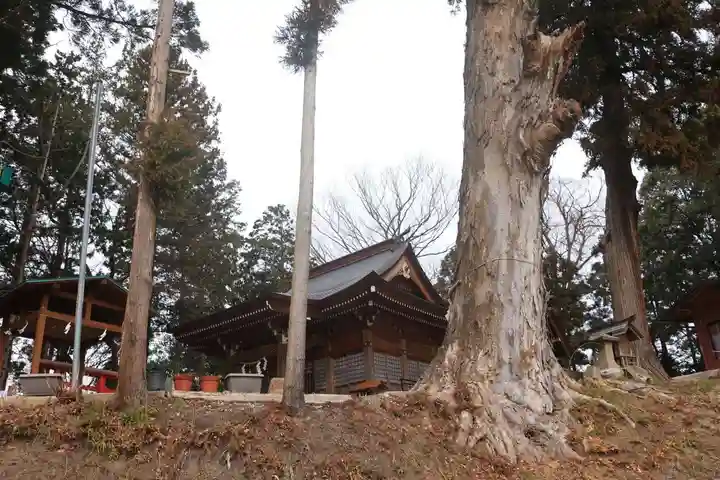 阿久津「田村神社」(郡山市阿久津町)旧社名:伊豆箱根三嶋三社の景色