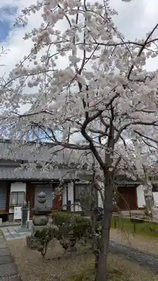 橋寺 放生院(京都府)
