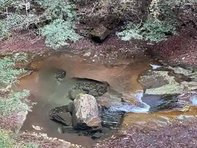 龍鎮神社の自然