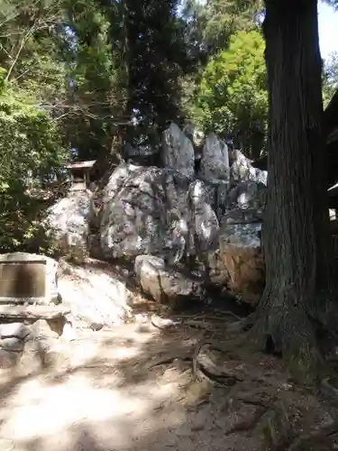 鹿島大神宮の自然