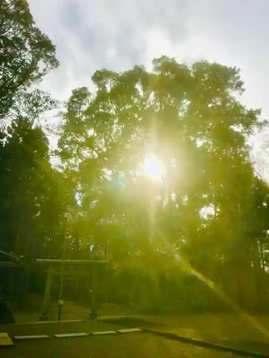 大宮神社の自然