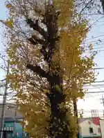 白旗神社(平戸白旗神社)(神奈川県)