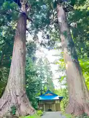 小金山神社(青森県)