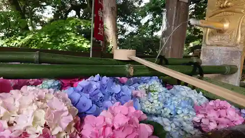 唐澤山神社の手水舎